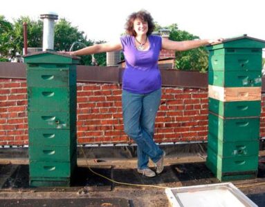 Getting Started in Urban Beekeeping Image